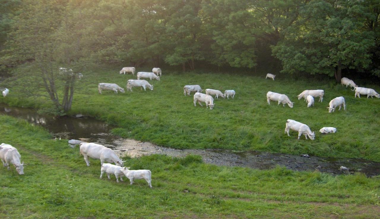 Betzemuehle 2 Bauernhof Leilighet Altenschlirf Eksteriør bilde